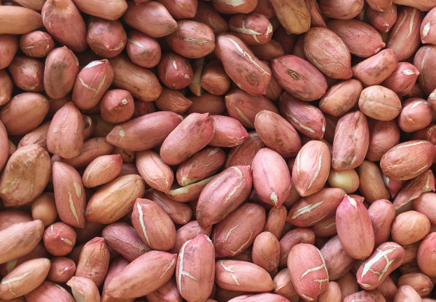 花生清洗加工廢水的特點(diǎn)及處理方法-樂中環(huán)保 花生清洗加工廢水的特點(diǎn)及處理方法-樂中環(huán)保