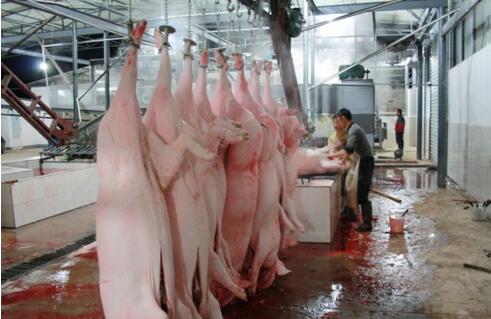 屠宰廢水處理方法有哪些？屠宰廢水處理設(shè)備價格？-01