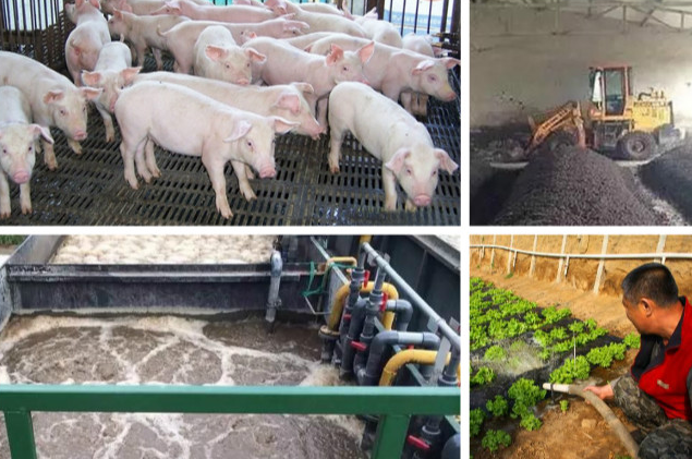 養(yǎng)殖污水處理一體設備多少錢？養(yǎng)殖污水處理方法