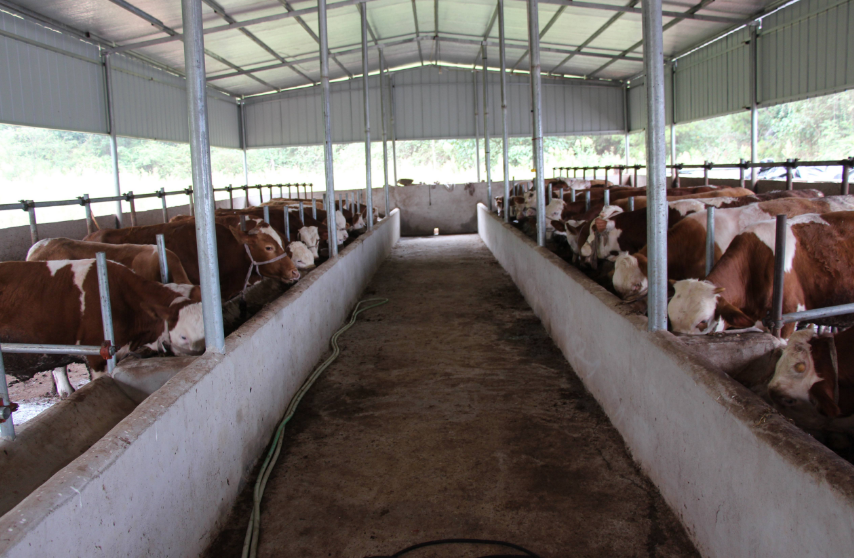 養(yǎng)殖場污水處理方法，養(yǎng)殖污水處理設(shè)備的用途講解02