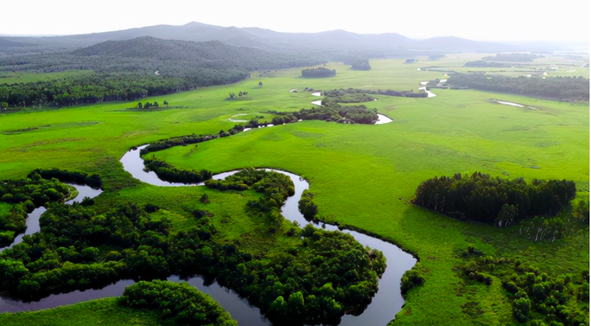 哈爾濱大量污水未經(jīng)處理直排松花江，會對當?shù)芈糜螛I(yè)帶來哪些影響