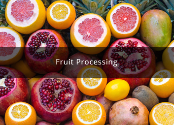 食品廠污水處理新思路，印度食品污水處理經(jīng)驗(yàn)淺析01