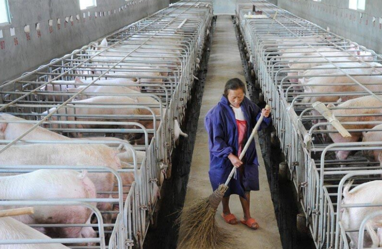 畜牧污水處理設(shè)備哪家好，養(yǎng)殖污水處理設(shè)備哪家好