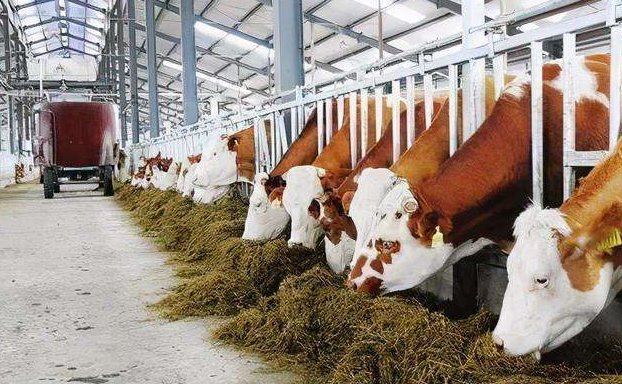 養(yǎng)殖污水處理設(shè)備的如何調(diào)試才能保障正常運行？02