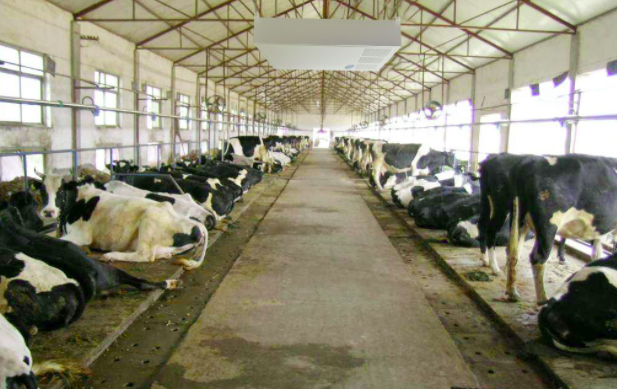 養(yǎng)殖屠宰污水處理設備使用前，要注意這兩點！01