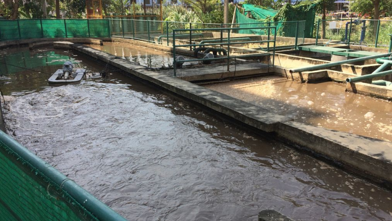 食品加工污水處理流程有哪些？如何更好的處理食品廢水？