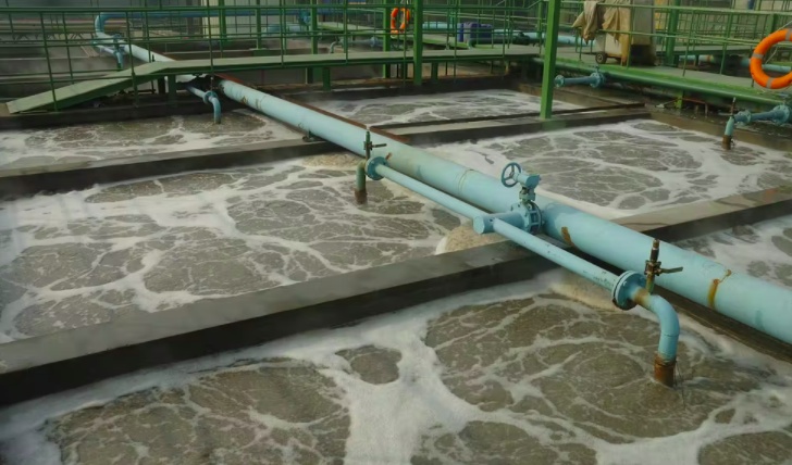 污水處理設備應用 | 生物技術在高效可持續(xù)水凈化中的重要作用 污水處理設備應用 | 生物技術在高效可持續(xù)水凈化中的重要作用