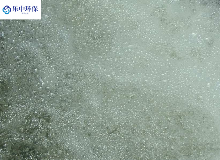 溶氣氣浮機(jī)泡沫多什么原因？如何解決？