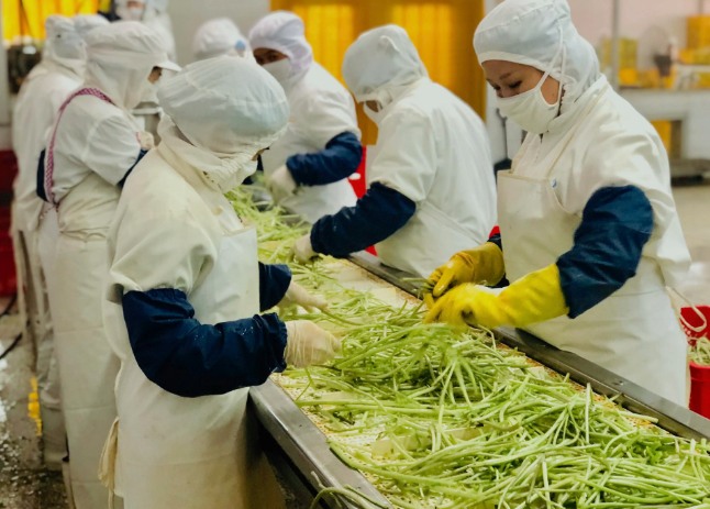 三種食品污水處理設(shè)備工藝流程，看看哪種適合您？